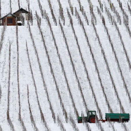 Der Winter und das Weiss